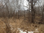 2017-02-20_17-32-29_north view.JPG