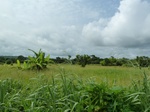 18195P1000031.JPG