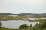 2025-07-15_20-59-49_B391B408-FF51-4541-936E-4858F4FDD6E7.jpeg