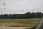 2022-06-11_17-54-51_10225A60-B57D-494E-A2A8-D21712FDBFBE.jpeg