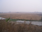 2954 058.jpg