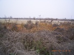 3392 044.jpg