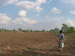 7879gt075b-rainfed-supplemental.jpg