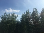 2017-09-12_14-12-56_B9D0334E-7358-4594-BFBA-99D0D6D63A83.jpg