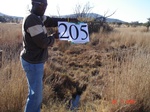 10995gt-205-wetland-wet-valley-bottom-02.jpg