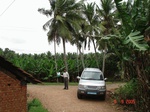 6363077c-irrigated-wetzone-agriculture-banana-dominant-plantation-coconut.jpg