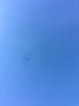 2020-09-29_19-55-52_03838219-18BC-42DC-94A5-D30E81BB0498.jpg