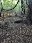 2012-09-24_10-40-01_DSC03071.JPG