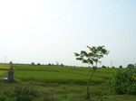 17393100_2079.JPG