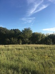 2020-09-29_18-31-10_42199D7B-E505-4964-8BF5-E9AF2847E397.jpg