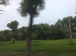 2017-09-12_03-32-14_1DB3D90C-6C73-4006-8C5B-353152E17732.jpg