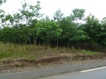 20476P1020333.JPG