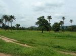 18465P1000301.JPG