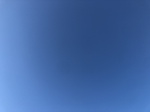 2020-10-04_15-49-47_2020-10-1-18-31-44.jpg