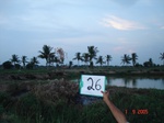 6170026c-irrigated-groundwater-pennar-delta-mixed-crop-sugarcane-rice-banana.jpg