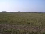 4557RIMG0009.JPG