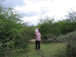 821107-shrubland-degaradedb.jpg