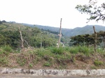 5573100_0971.JPG
