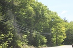 2022-06-12_15-03-12_D58E08D7-1872-4238-8E94-297ECFBE03CB.jpeg