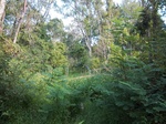 2016-09-04_09-10-45_100_1744.JPG
