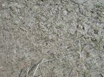 1803020091112_gt02b_Agriculture_Rice_Irrigated_Triple_Continous.JPG