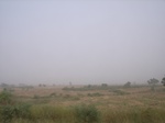 9144RIMG0225.JPG