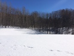 2017-02-24_14-46-20_Feb17-118-VT.jpg