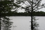 2022-06-11_18-08-26_584471AD-A4F2-4CC8-B1D4-0D8FC79DA2FF.jpeg