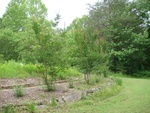 2018-06-02_15-03-43_DSC02506.JPG