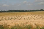 2022-06-11_18-08-23_1AA79AC3-0AD5-44F4-B1D9-78A34EC5A165.jpeg