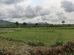 2012-09-07_10-20-05_CIMG6720.JPG