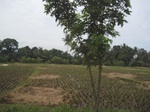 14831IMG_5224.JPG