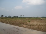 15350IMG_4191.JPG