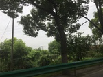 2017-09-10_06-45-03_E25494F2-CE63-4FEE-AB85-50FF744DF299.jpg