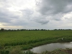 56036CIMG6725.JPG