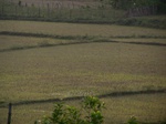 549611052008(87).JPG