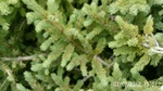 2012-09-27_14-25-43_277.JPG