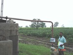 72150247d-irrigated-supplemental-groundwater-sugarcane-dominant-cotton.jpg