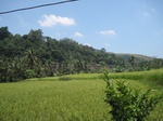 15852IMG_4393.JPG