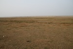 4186IMG_8824.JPG