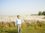 11330gt122-wetland-2.jpg