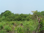 1725620042008(41).JPG