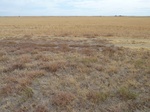 39214HOBA20110907E.JPG