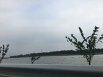 2017-09-10_20-49-08_A572C9B3-3B6D-416F-923E-80E346A7A816.jpg