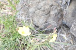 2018-07-06_17-07-28_2018-06-12 16.59.26.jpg