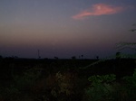 524426042008(50).JPG