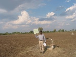 9395gt075a-rainfed-supplemental.gif