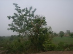 3957RIMG0261.JPG