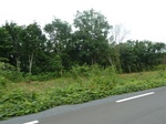 20501P1020358.JPG