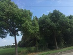 2017-09-12_13-52-53_0D65B96C-F238-4016-9560-AFCEFDC0F5F1.jpg